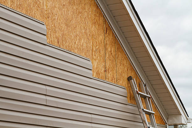 Professional Vinyl Siding technician working in Toddville, MD